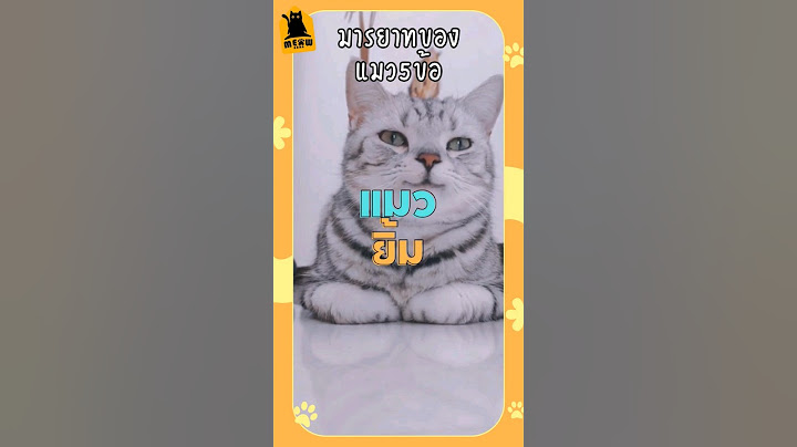 มารยาทของแมวห้าข้อนี้ #cat #catsfacts #แมว #แมวน่ารัก #ทาสแมว #เลี้ยงแมว #meowbarn #เหมียวบาน