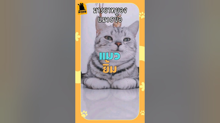มารยาทของแมวห้าข้อนี้ #cat #catsfacts #แมว #แมวน่ารัก #ทาสแมว #เลี้ยงแมว #meowbarn #เหมียวบาน