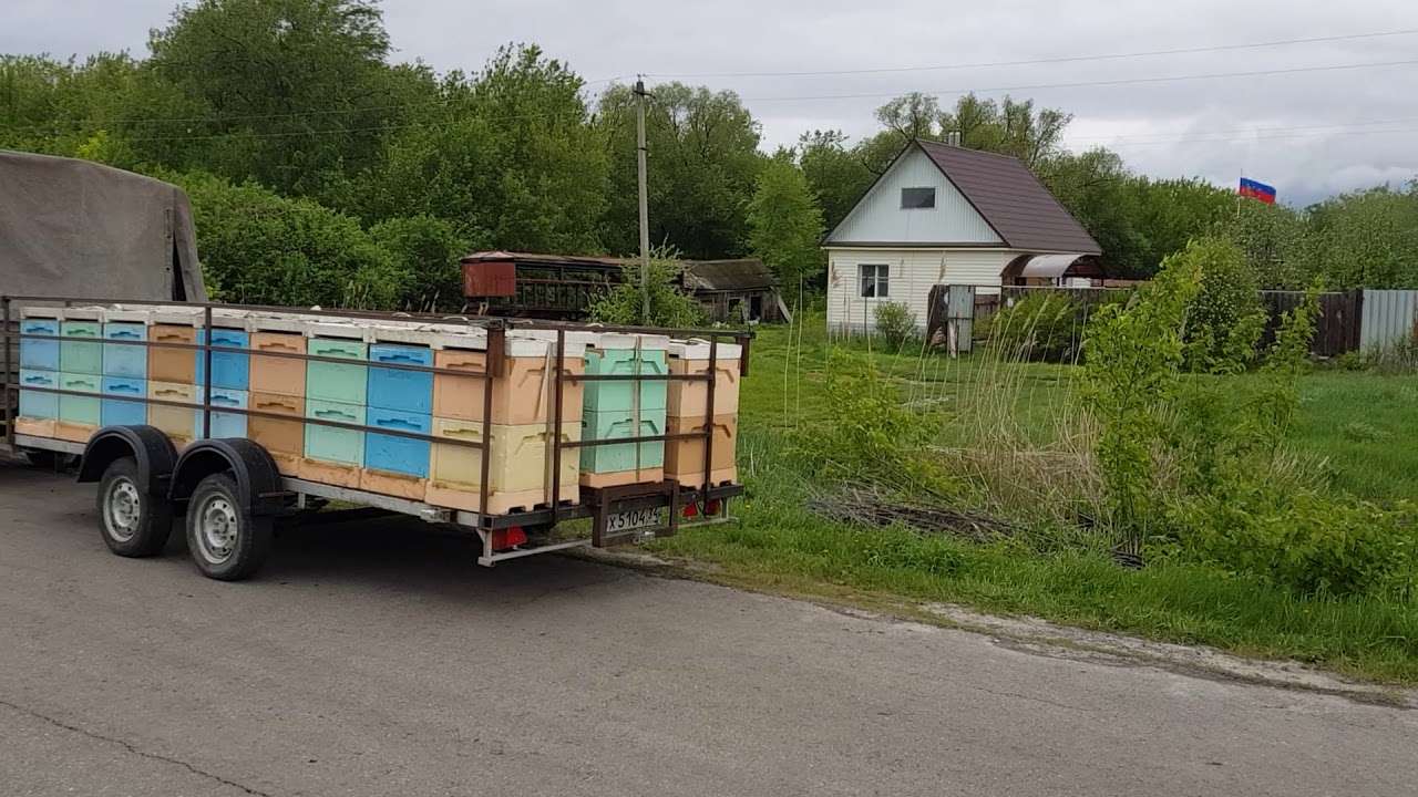 Купить прицеп для пчел. Прицеп 7135 “пчеловод” (“Прогресс”). Грузовой прицеп 7135 “пчеловод”. Прицеп Прогресс пчеловод. Прицеп Прогресс 7135.