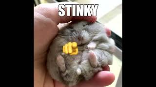 stinky