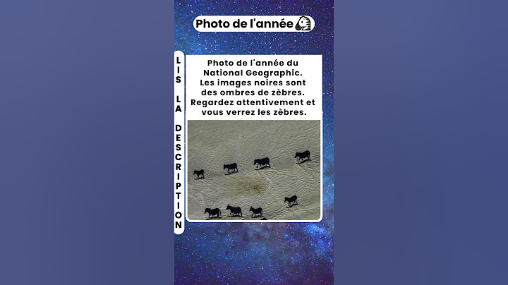 Pourquoi les zèbres sont-ils rayés ? 🦓