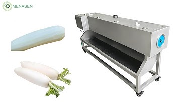MNS-XP11 Automatic Radish Peeler| Eggplant Yam Lotus Root Peeling Machine