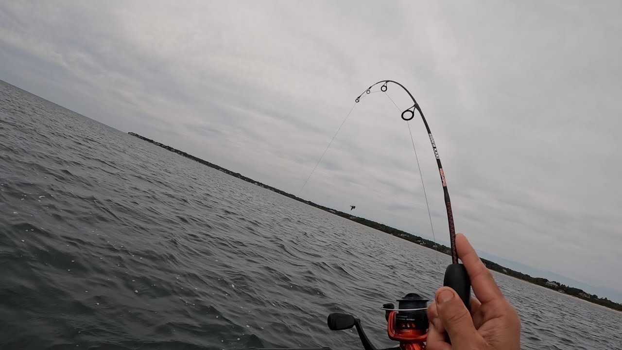 ОБЗОР UGLY STICK DOCK RUNNER! Посмотрим, что мы сможем поймать с его помощью на моем каяке!