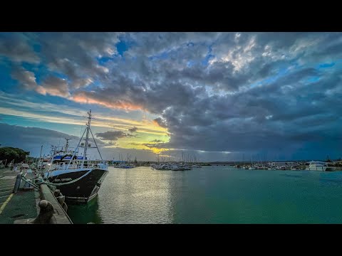 Video: 12 Rotoruada Ediləcək Ən Yaxşı Şeylər