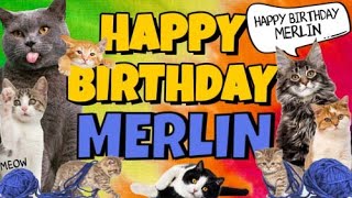 Happy Birthday Merlin! Crazy Cats Say Happy Birthday Merlin (Very Funny)
