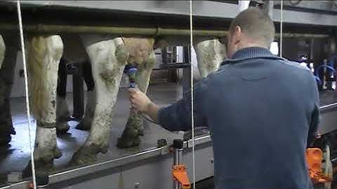 Découvrez le DipTomatic