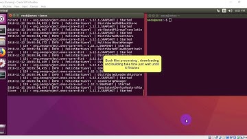 Working with mininet