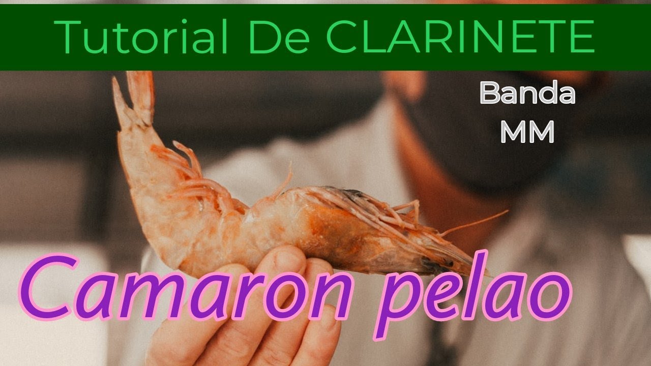 El Camaron Pelao - Tutorial De Clarinete