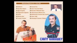 Cabur Dağı (Mehmedim Aslan Mehmedim ) - Cavit Karabey Resimi