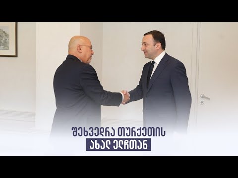 შეხვედრა თურქეთის ახალ ელჩთან