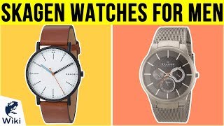 10 Best Skagen Watches For Men 2019