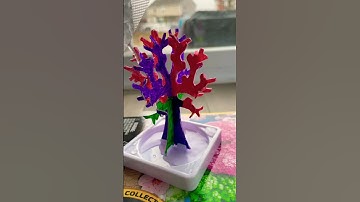 Crystal garden #pets