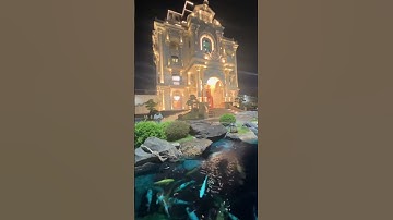 Mơ Ước của tất cả đàn ông khi về già là đây #nhagodep #nhago5gian #nhagolimxanhthanhhoa