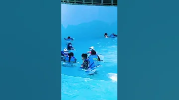 동천 토렌트