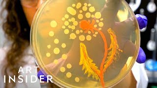 Using Bacteria As Paint
