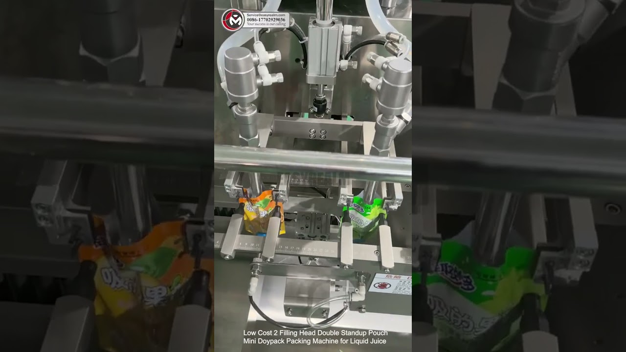 low cost 2 filling head double standup pouch mini doypack packing machine for liquid juice 