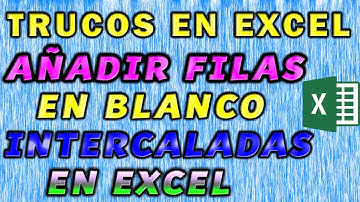 Trucos en Excel. Cómo insertar filas en blanco en Excel. Cómo organizar un documento Excel.