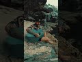 “Wild Palomino” somewhere out in the middle of Hawaii. #shorts #zacbrownband #wildpalomino #hawaii