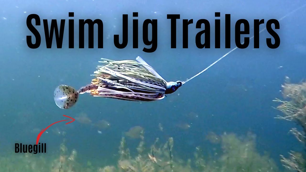 3 Best Swim Jig Trailers 