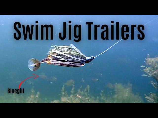 3 Best Swim Jig Trailers 