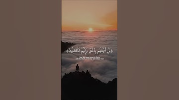 سورة المؤمنون