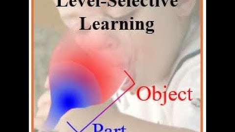 Selective Contrastive Learning for Weakly Supervised Affordance Grounding (ICCV 2025)