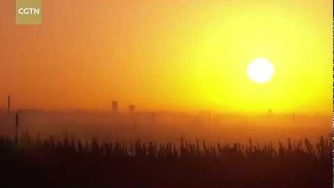 AI&Warehousing: autonomous decision-making of logistics robots