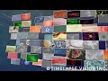 TLV showreel 2017 #03 Immune cells and microbes RUSH