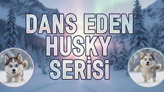 Dans Eden Husky Akımı Serisi Husky Dog Dance Öpek