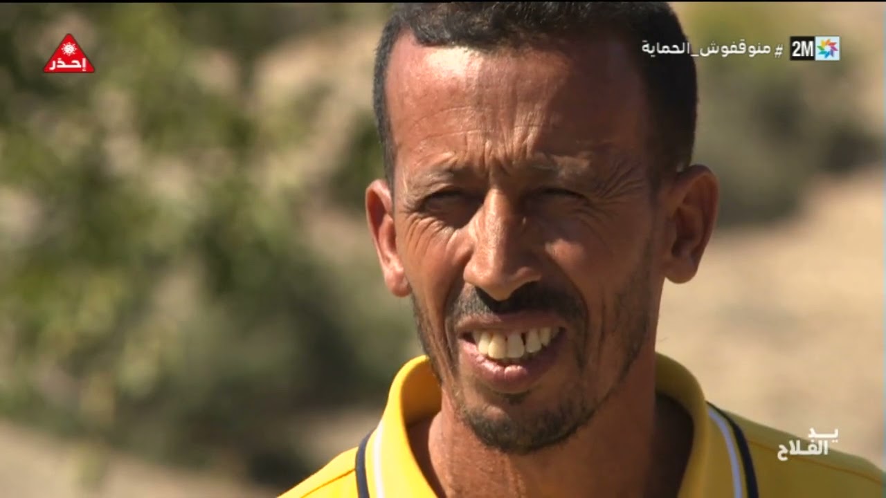 مهنة تربية الماعز الأسود في منطقة بوتفردة.. في 