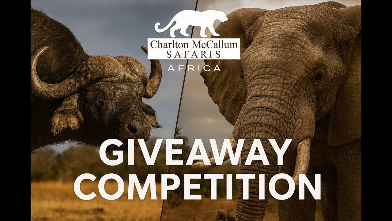 CM Giveaway You Won't Believe What We're Giving Away YouTube