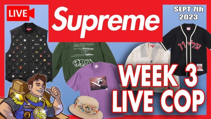 Supreme Week 9 x Dickies Collection & Satin Appliqué Hooded