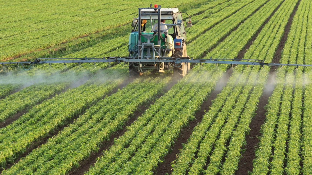 Sustainable Development Goal 14