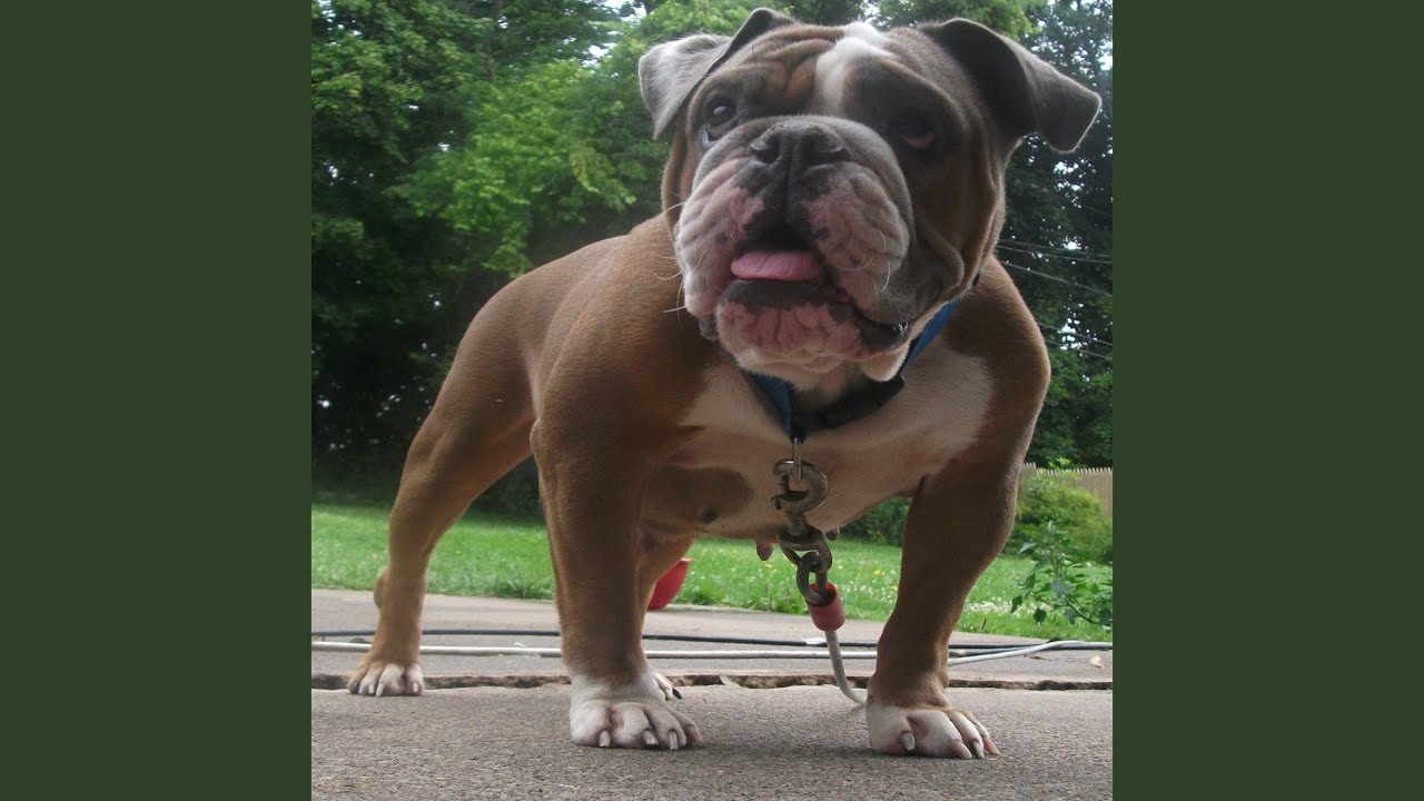 Watch Griffin on YouTube Watch Griffin on YouTube