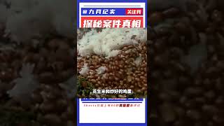 1985年,廣東人吃什么? #抗日戰爭 #中國纪实 #纪录片 #纪实解说 #悬疑犯罪