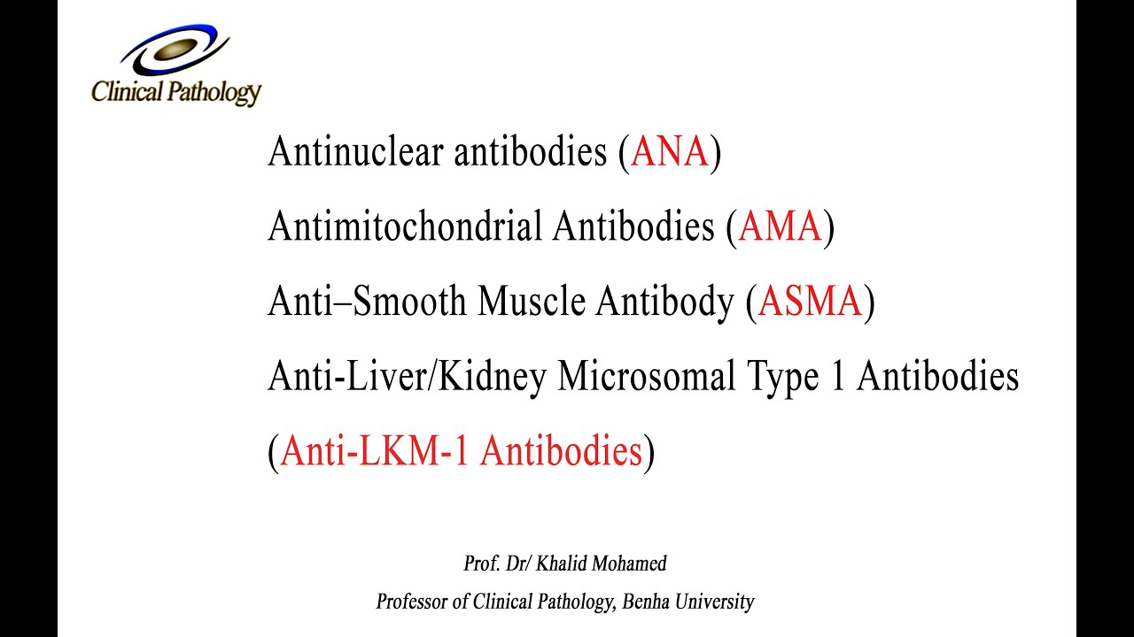 Biochemistry diploma lecture 2. ANA, AMA, ASMA, ALKM-1 A: Arabic tutorial -  YouTube