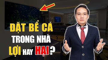 ĐẶT BỂ CÁ trong nhà như thế nào là LỢI và HẠI trong phong thủy? Cách đặt BỂ CÁ kích tài lộc