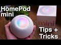 How to use HomePod mini + Tips/Tricks!