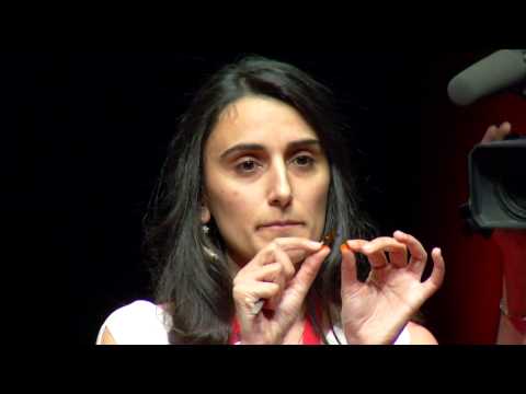CD28 - aşk ile kalınız: Canan Dağdeviren at TEDxReset 2014