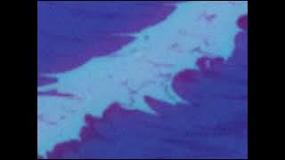 tame impala ~ the less i know the better ﾉ slowed   reverb ﾉ
