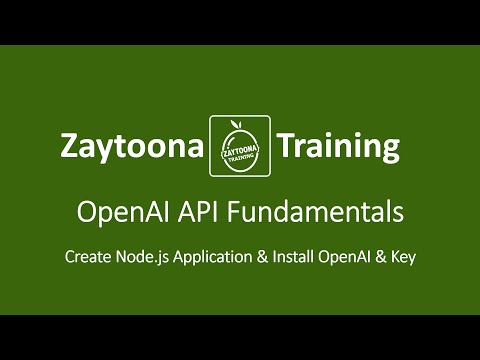 OpenAI API with Node.js: Lesson #6 (Create Node.js Application & Install OpenAI & Key)