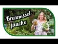 Brennesseljauche herstellen, ansetzen🌱 Unser Spezialrezept 🌱 Brennnesseljauche Bester Dünger