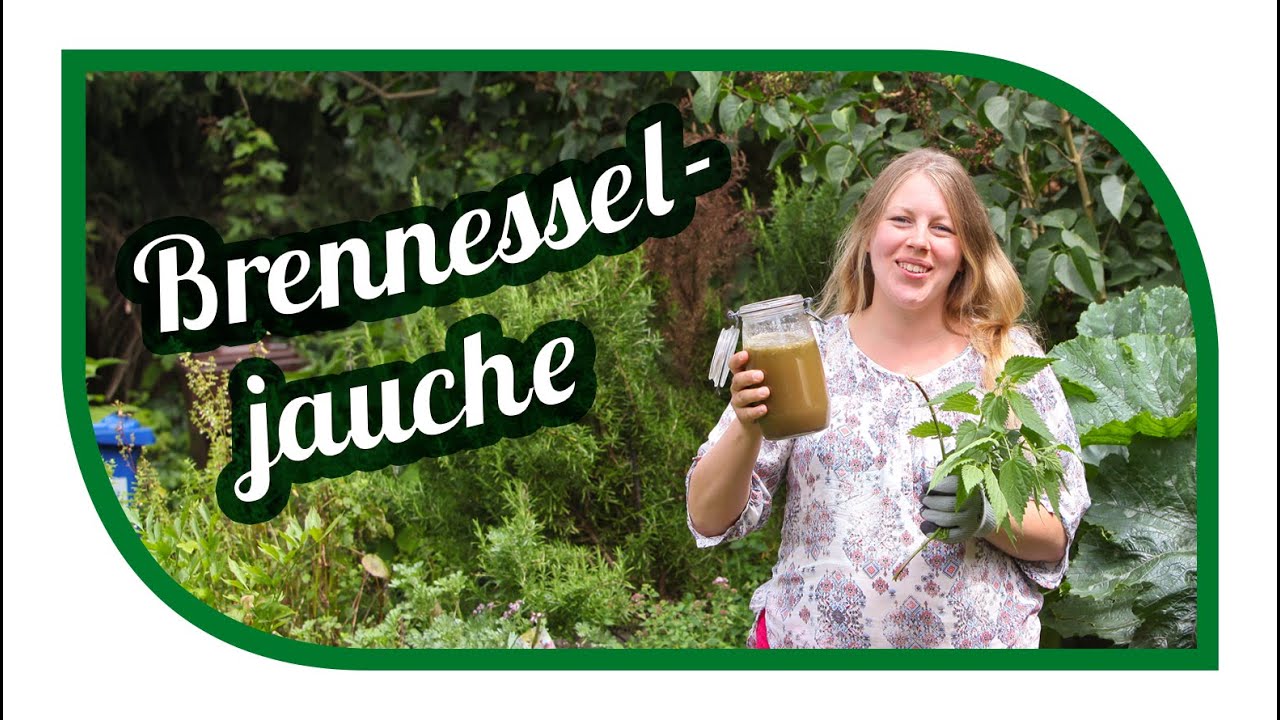 brennesseljauche-herstellen-ansetzen-unser-spezialrezept