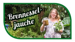 Brennesseljauche richtig herstellen, ansetzen🌱 Unser Spezialrezept 🌱 Bester Dünger