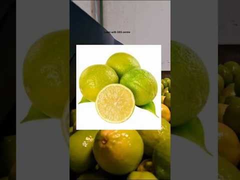 #vitamin C#youtube shorts#study#learn#lifestyle#health#facts #new #knowledge#nature#