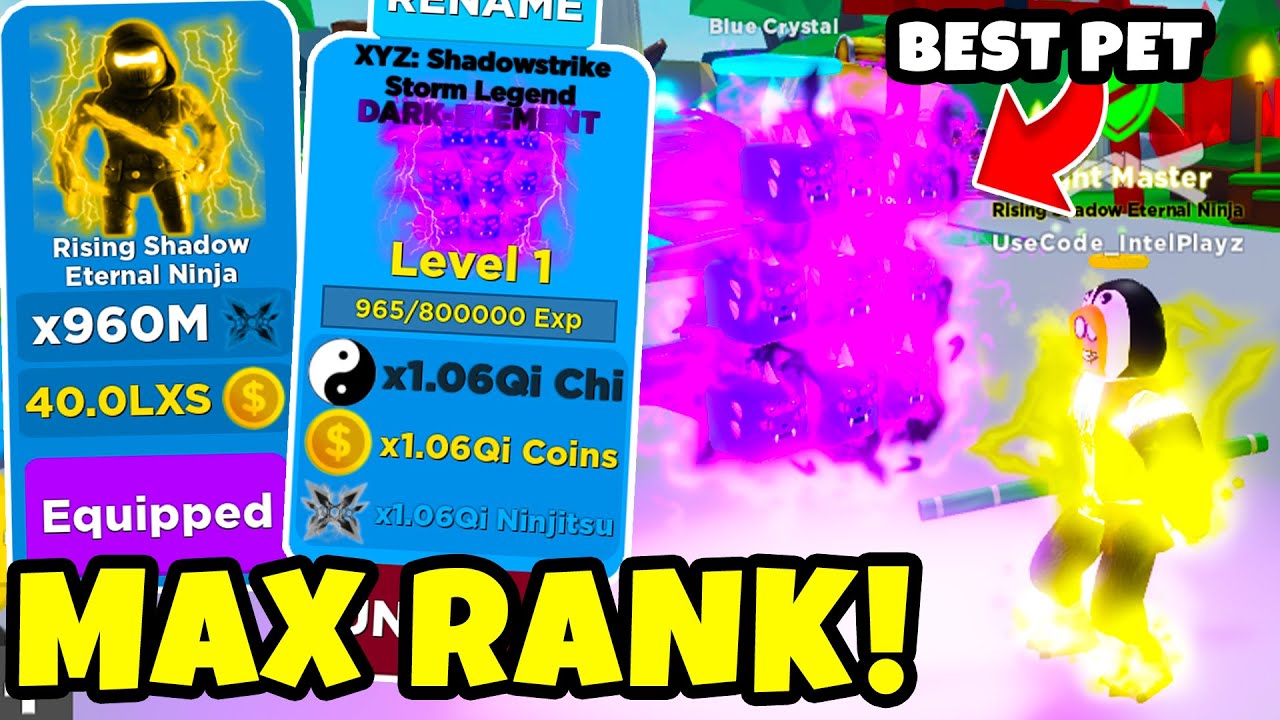 Buying The Max Rank Best Pet Update Ninja Legends Youtube - roblox ninja legends pet ranks