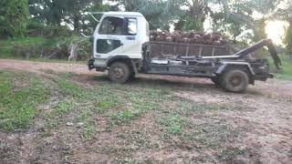 muat sawit part 1  pake lori tong