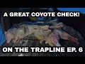 On the Trapline Ep. 6 - A Great Check on the Coyote Line!
