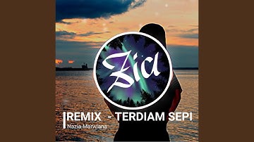 Terdiam Sepi (Remix)