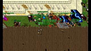 Level 118 Killed Fortera Tibia